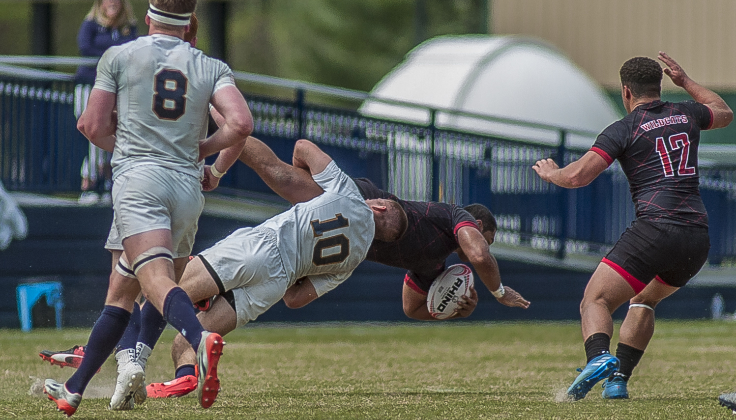 Navy v CWU rugby April 15 2017. Colleen McCloskey photo for Goff Rugby Report.
