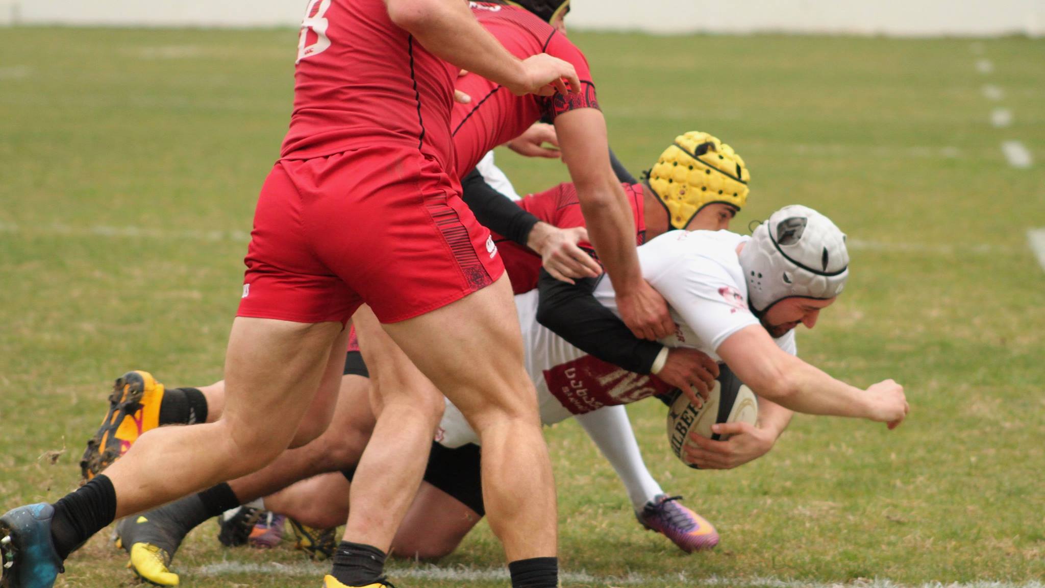 San Diego State University rugby in Tbilisi March-April 2017.