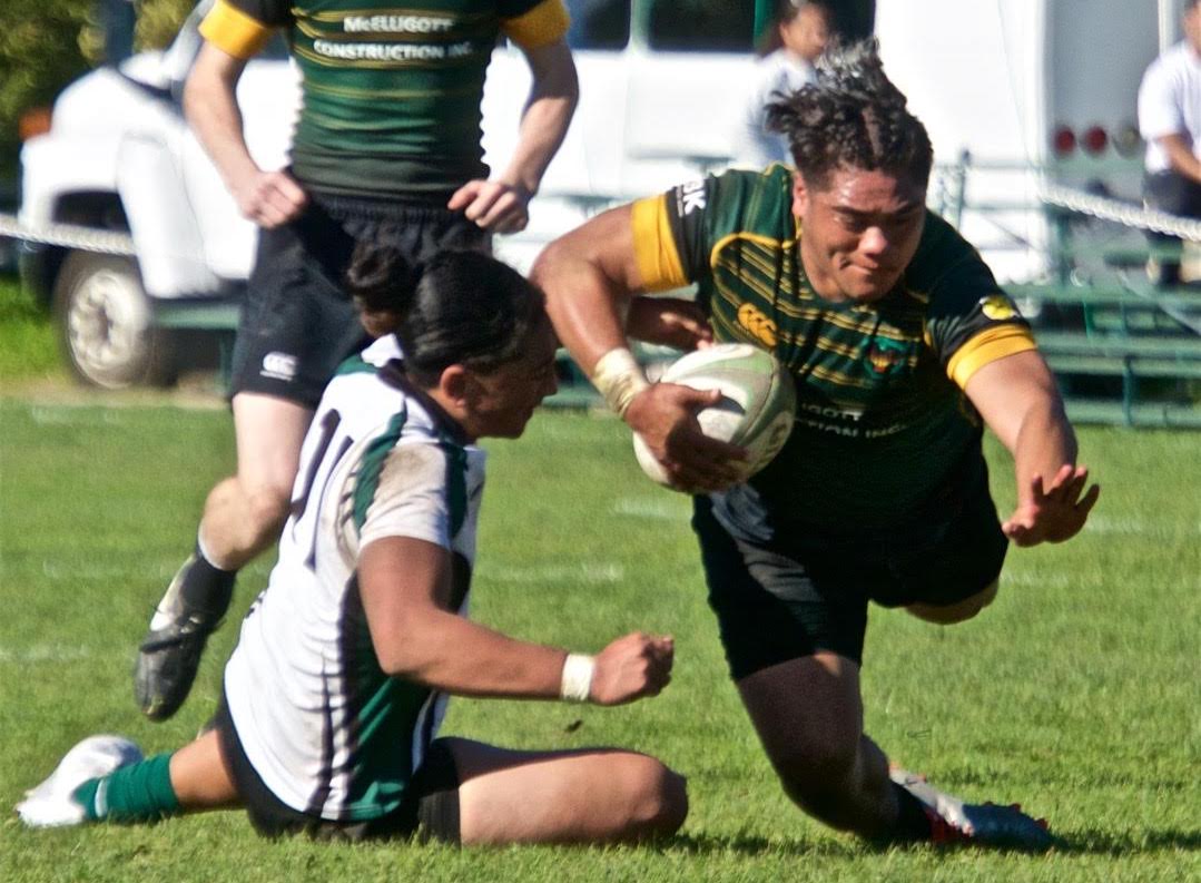 SFGG v Peninsula Green rugby March 11 2017. Austin Brewin photo.