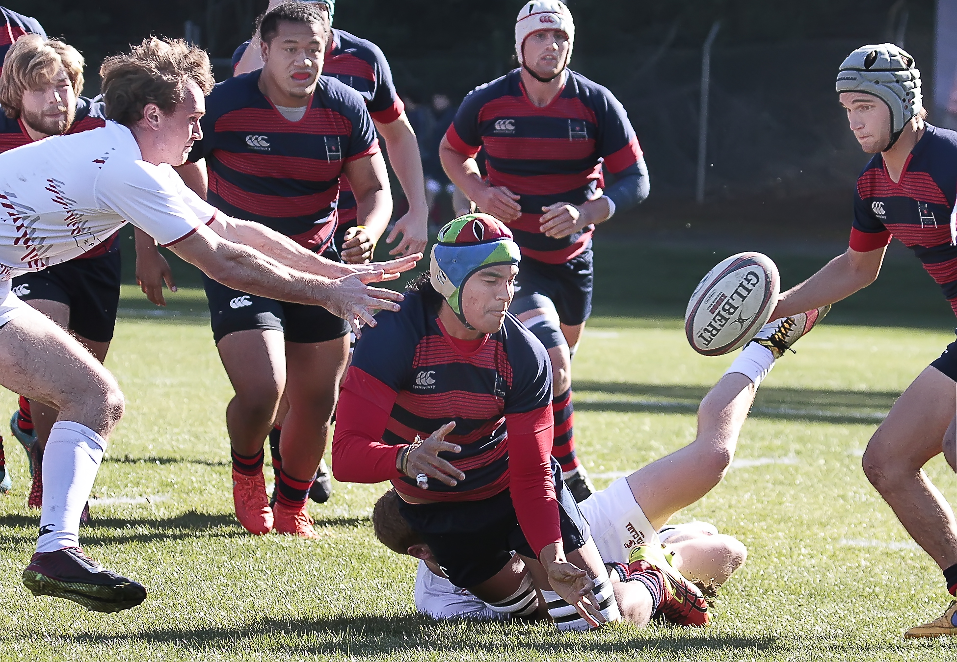 Saint Mary's rugby v Santa Clara Jan 28 2017. Michael Geib photo.