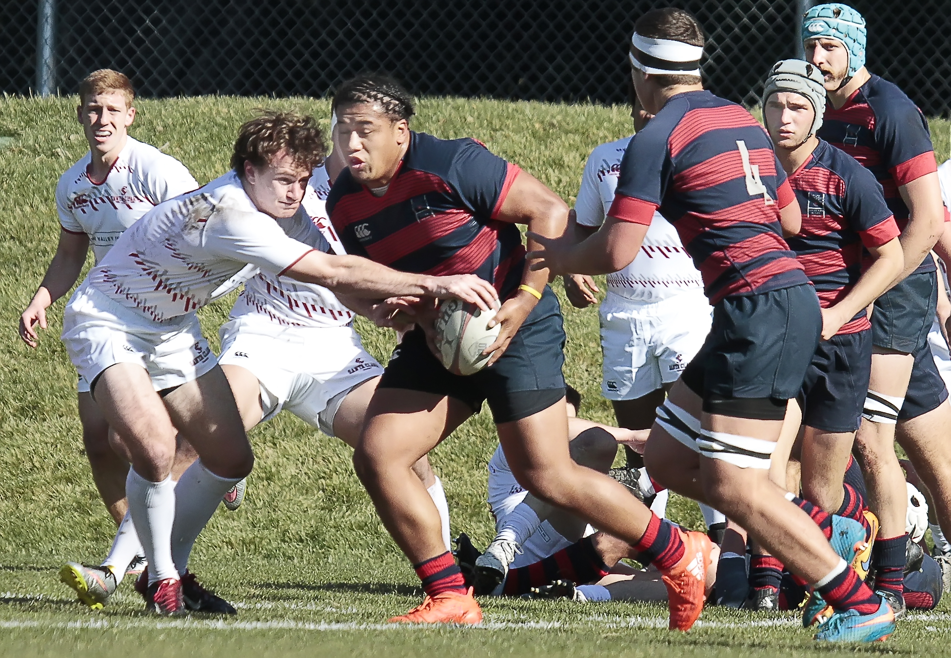 Saint Mary's rugby v Santa Clara Jan 28 2017. Michael Geib photo.