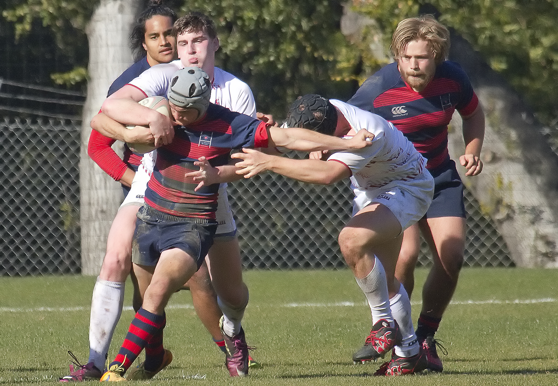 Saint Mary's rugby v Santa Clara Jan 28 2017. Michael Geib photo.