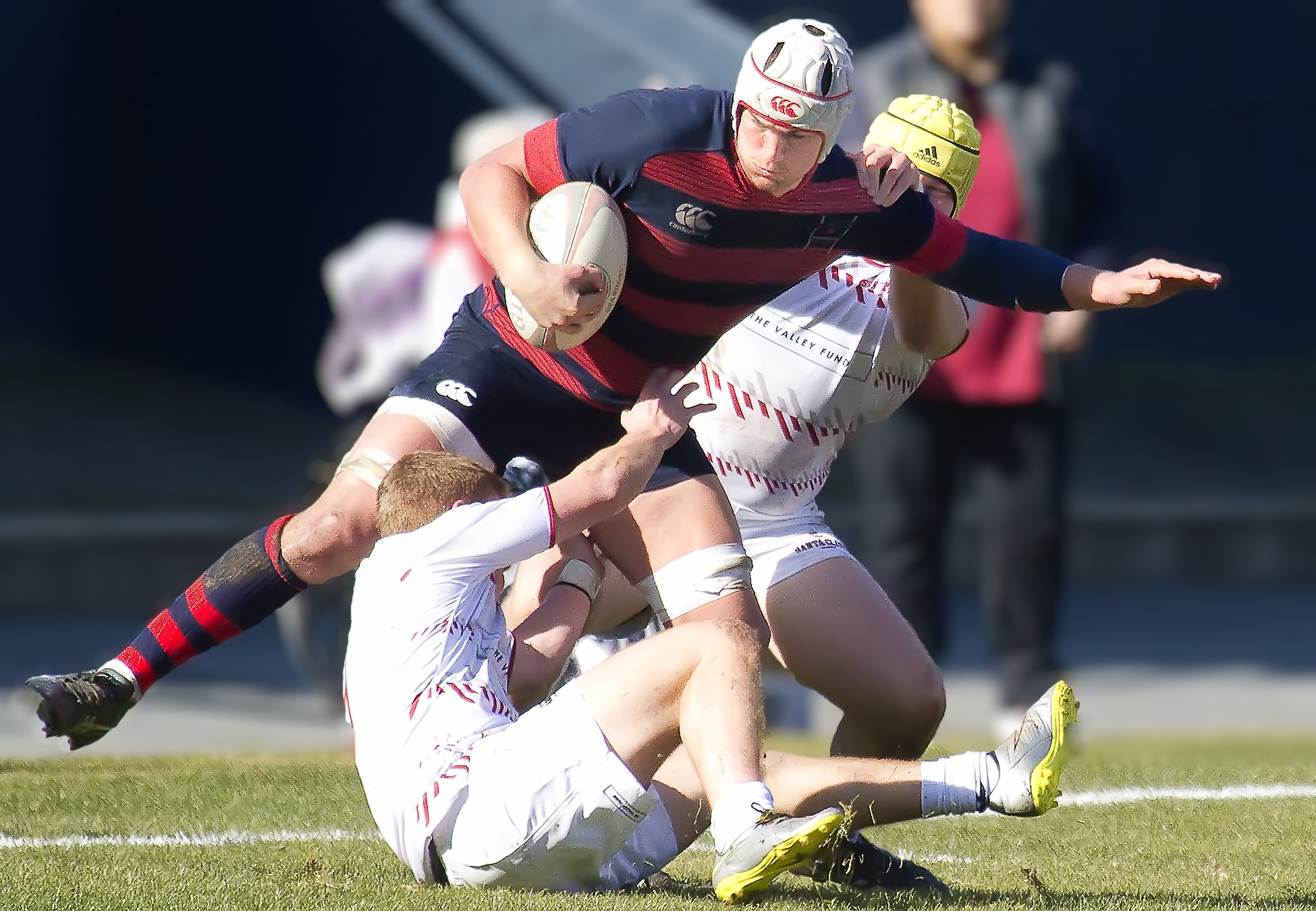 Saint Mary's rugby v Santa Clara Jan 28 2017. Michael Geib photo.