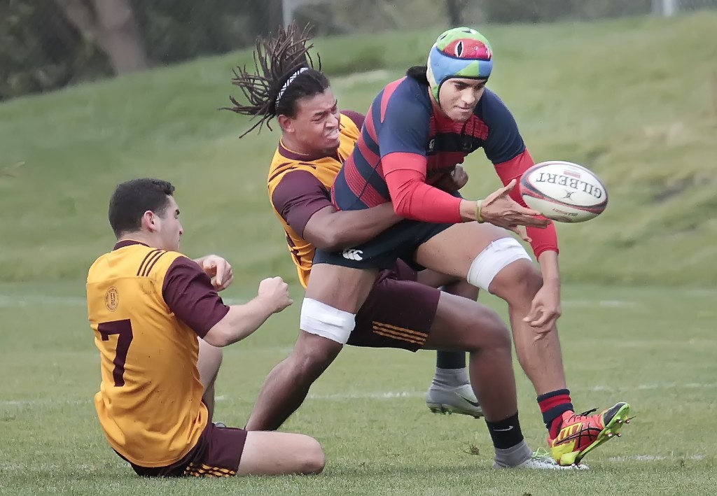 Saint Mary's Rugby v Arizona State. Michael Geib photos.