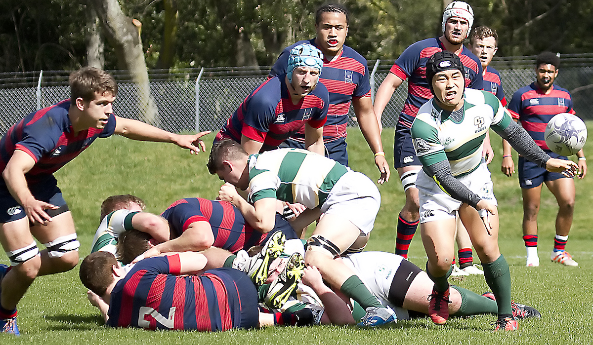 Saint Mary's rugby v Cal Poly Feb 25 2017. Michael Geib photos