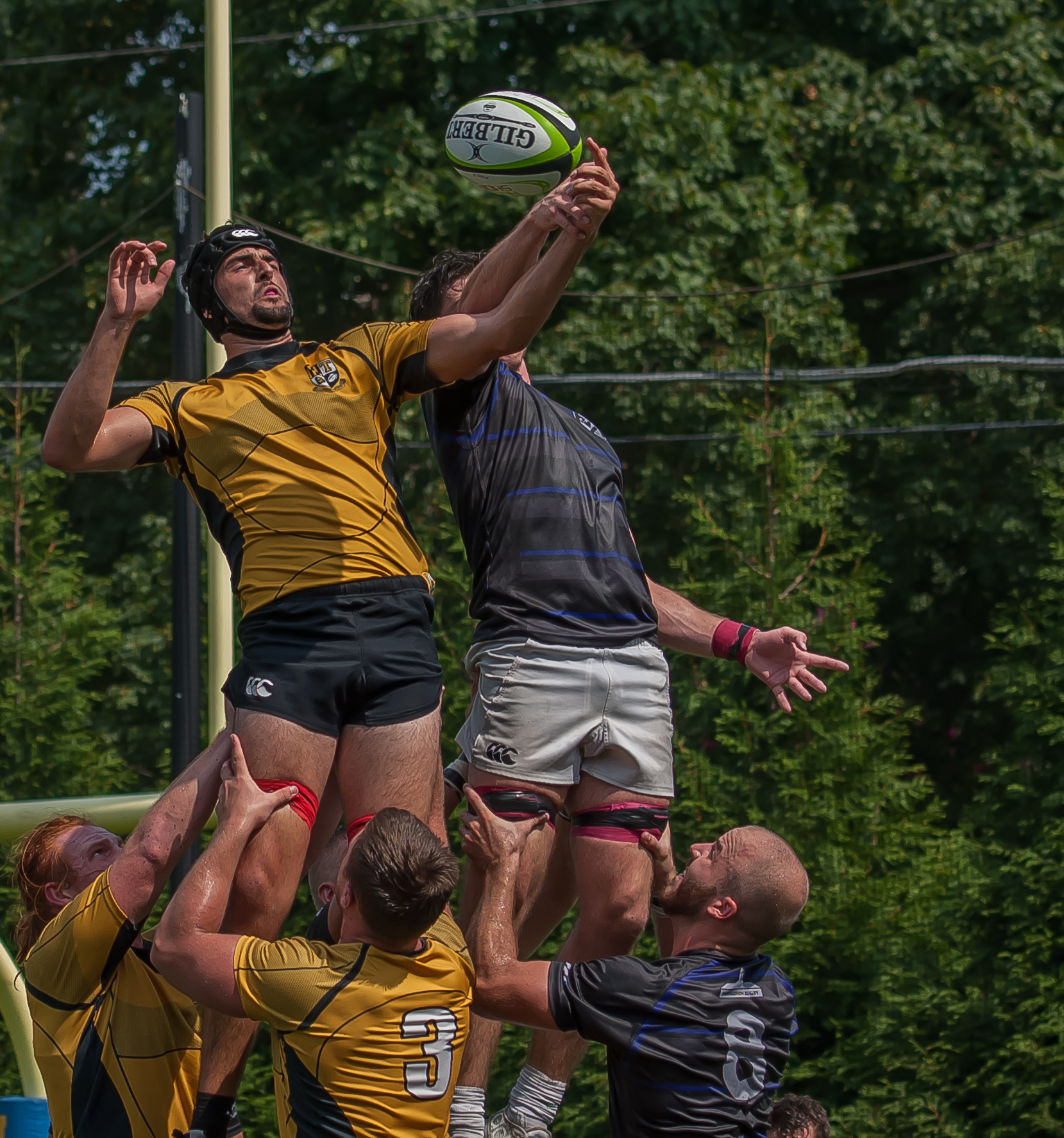 Towson University v James Madison rugby fall 2016. Colleen McCloskey photo for Goff Rugby Report.