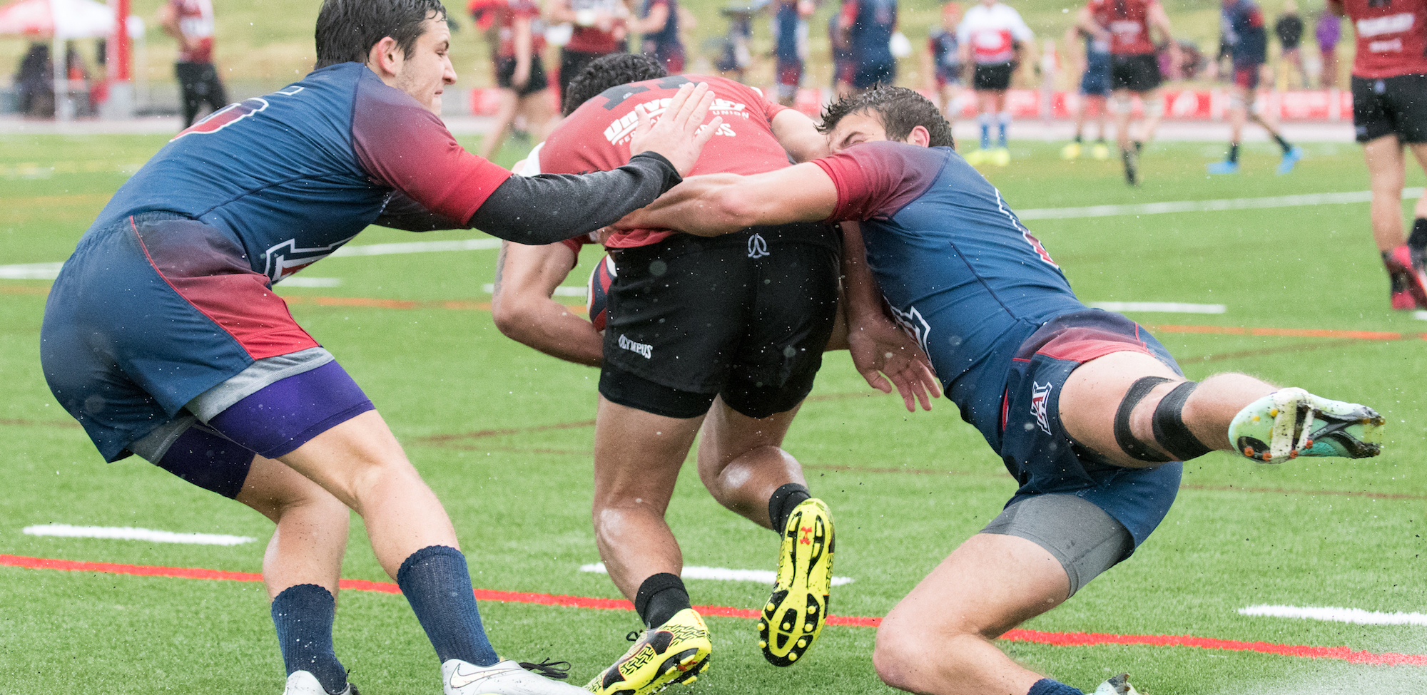 Utah v Arizona rugby 2017. Tim Haslam photos.