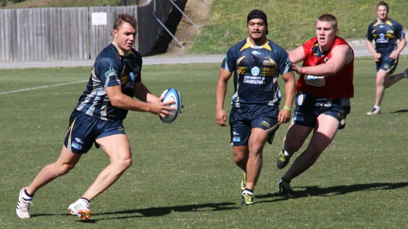 brumbiestraining2014