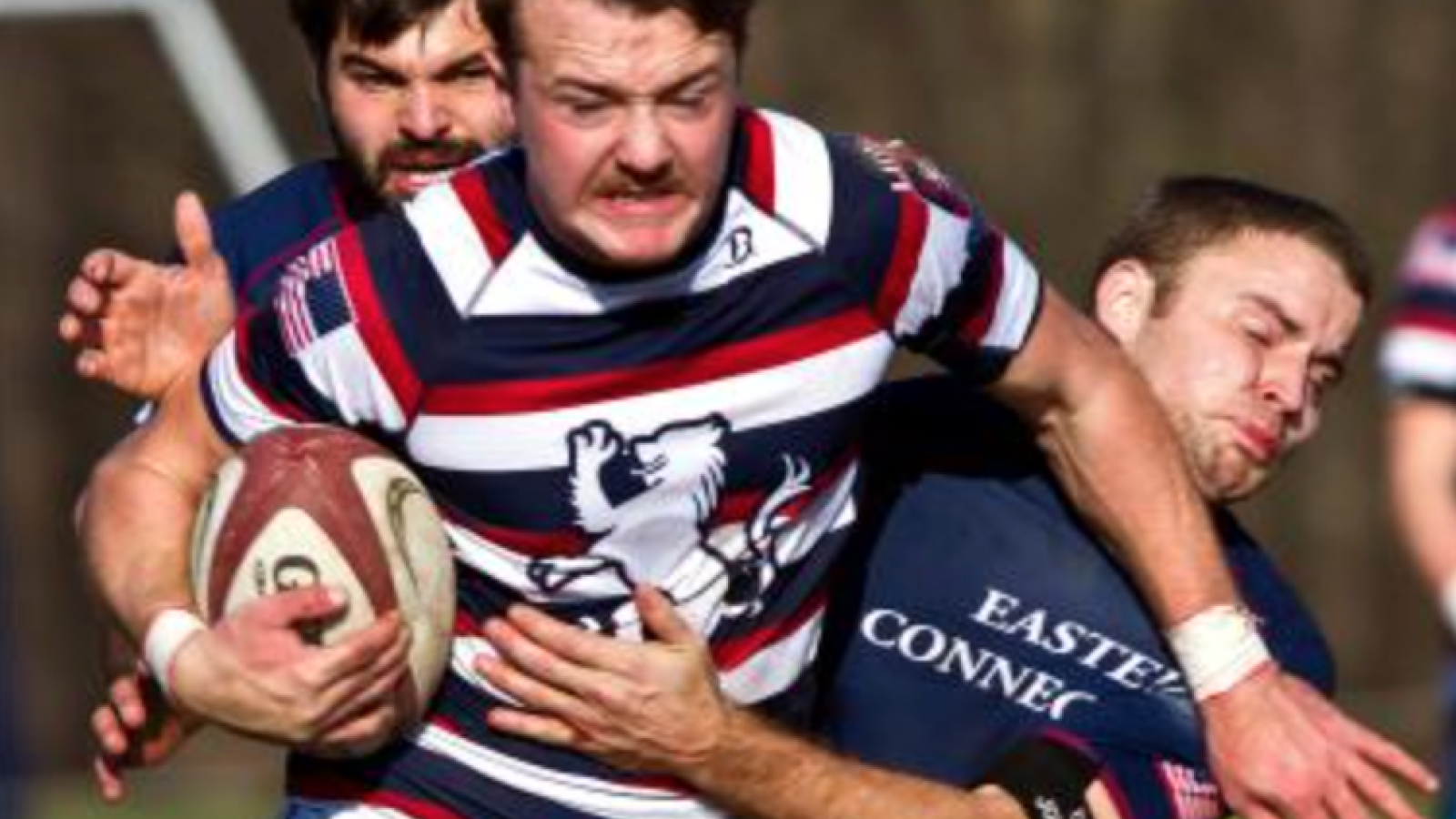 nec mvp geoffforester concordmonitor 2