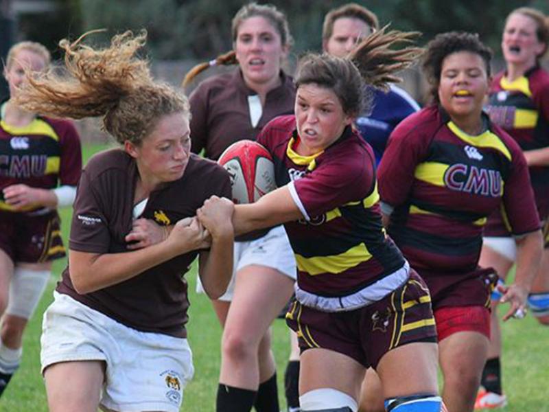 ColoradoMesa ClintonBrown