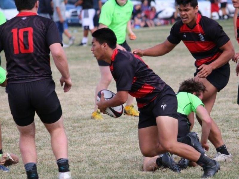 genesishs 2017 tai kauwe