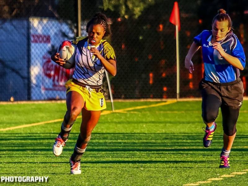 kennesaw state   kennesaw v north georgia   m.e. smith photography   feb. 14 2016