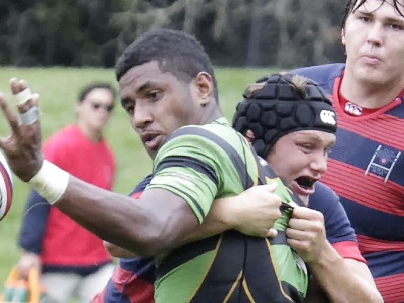 lifevsmcc 2016 diafinal geib 1