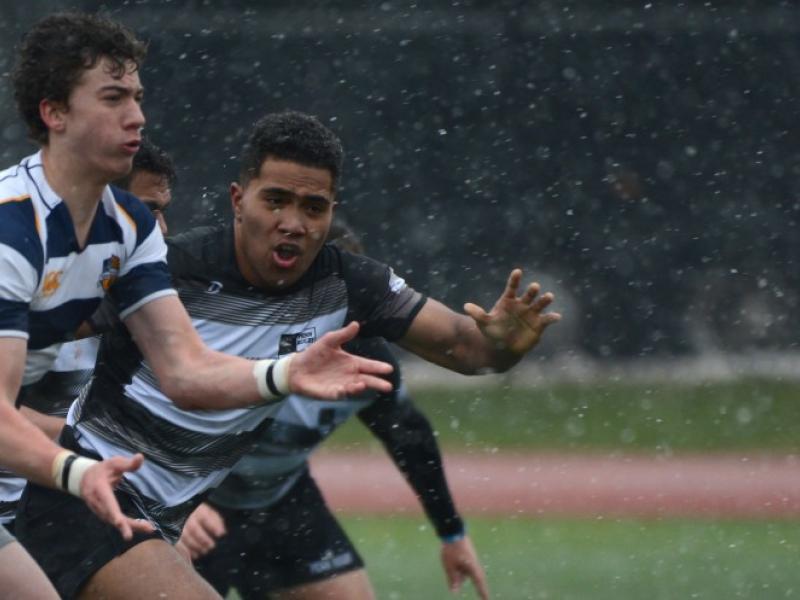 stignatiusvpenn 2017 tamara tidey 1