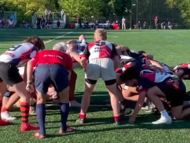 vienna vs west end yt