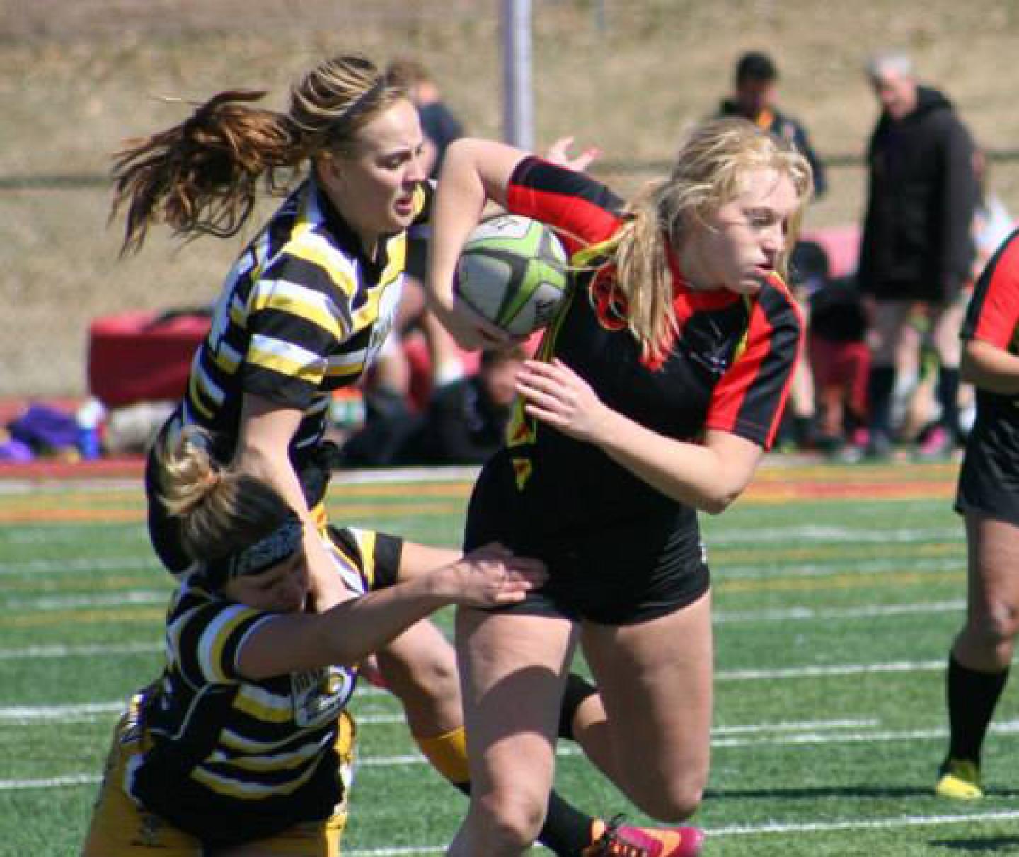 1002536 871939169529268 6920777169127258413 n 1002536 871939169529268 6920777169127258413 n