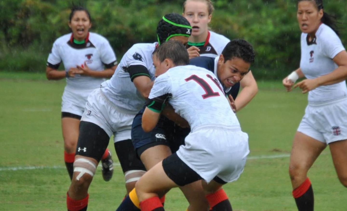 Brown Navy fall15 Brown Navy fall15