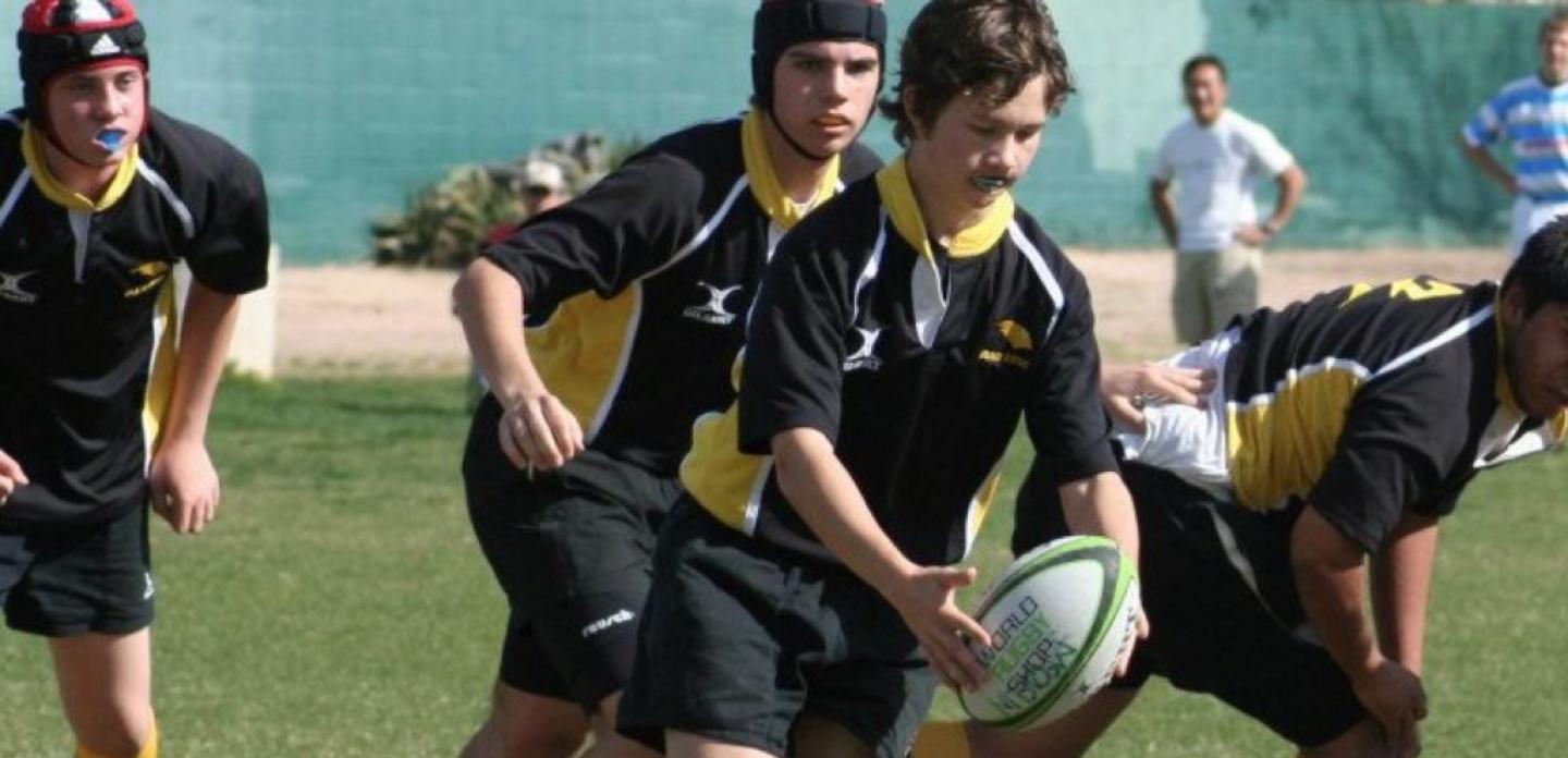 blackbirds2016 1 blackbirds2016 1