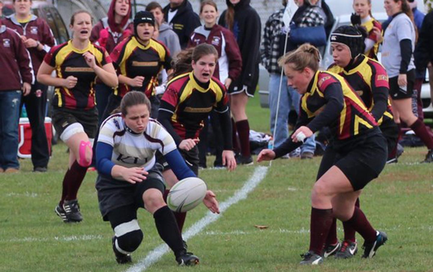 bloomsburg bloomsburg