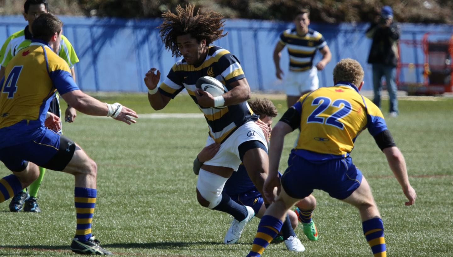 cal GletzervUBC 8A9730 ABFlyerPhoto cal GletzervUBC 8A9730 ABFlyerPhoto