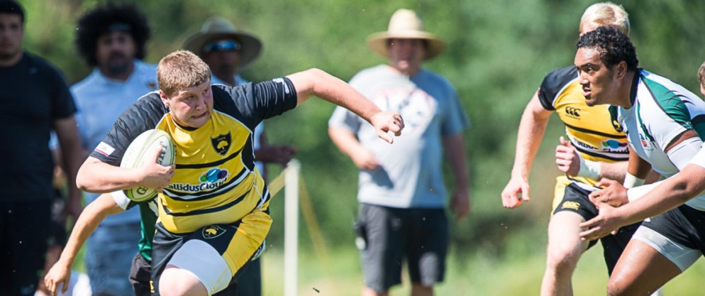 danvillevpengreen norcalsemis barpal 3 danvillevpengreen norcalsemis barpal 3