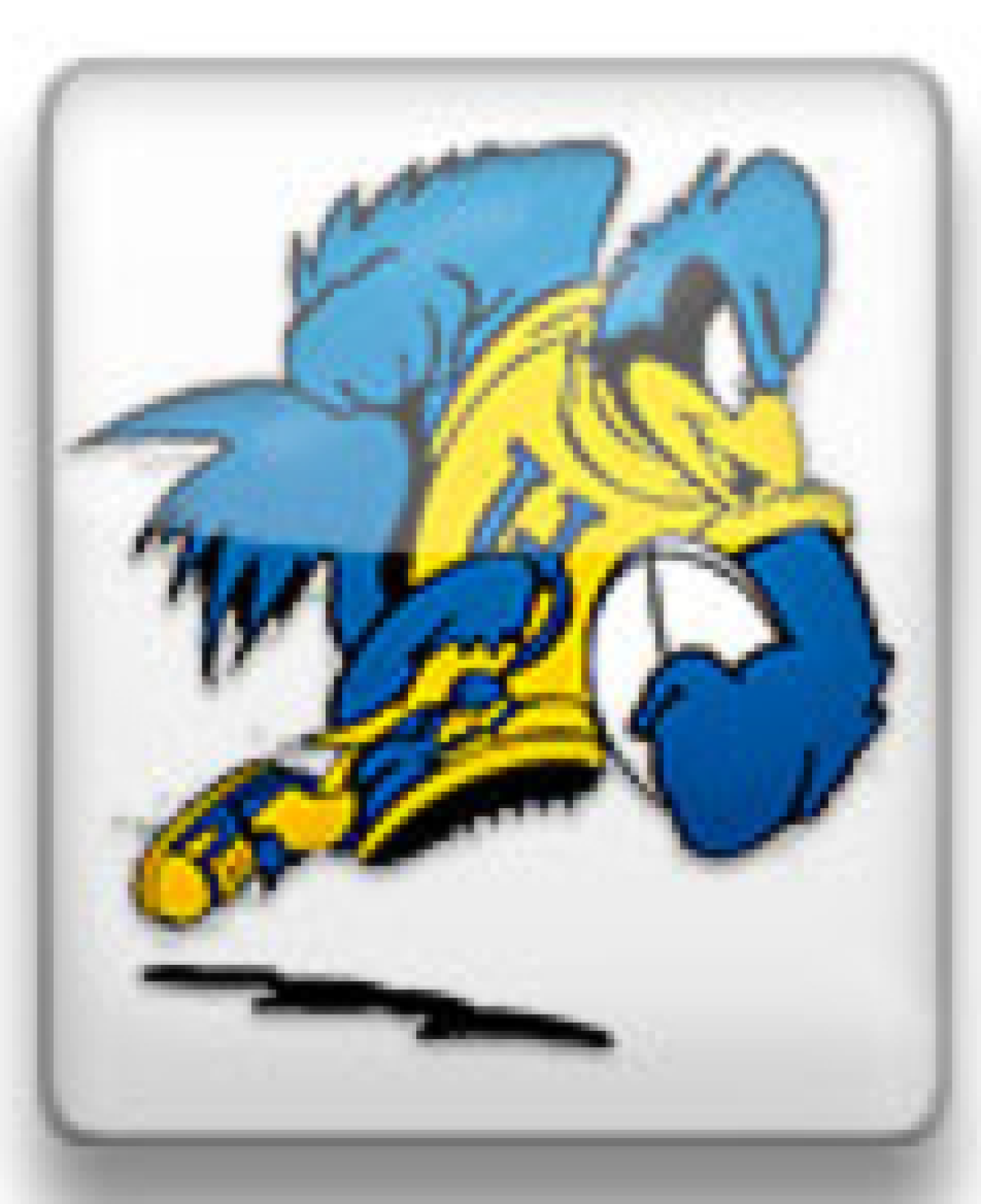 delawarerugbylogo delawarerugbylogo