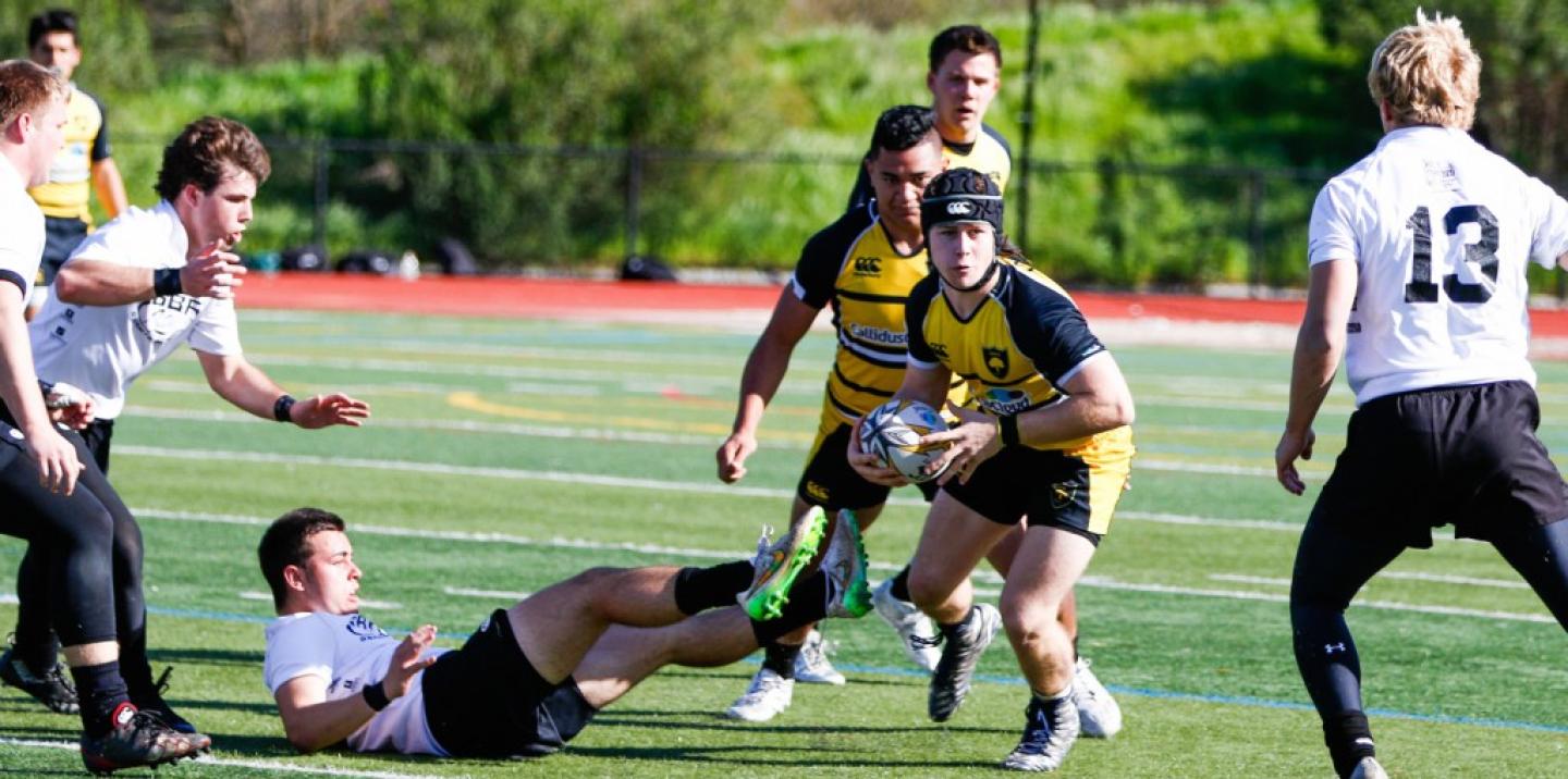 granitebay 2016 v danville dan bandoni 8 0 granitebay 2016 v danville dan bandoni 8 0