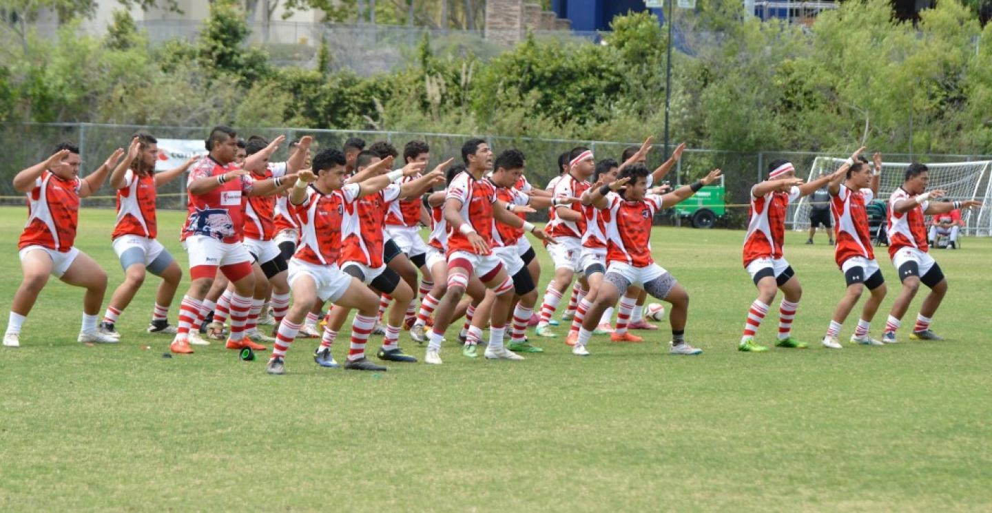 kahukuhaka.cavanagh kahukuhaka.cavanagh