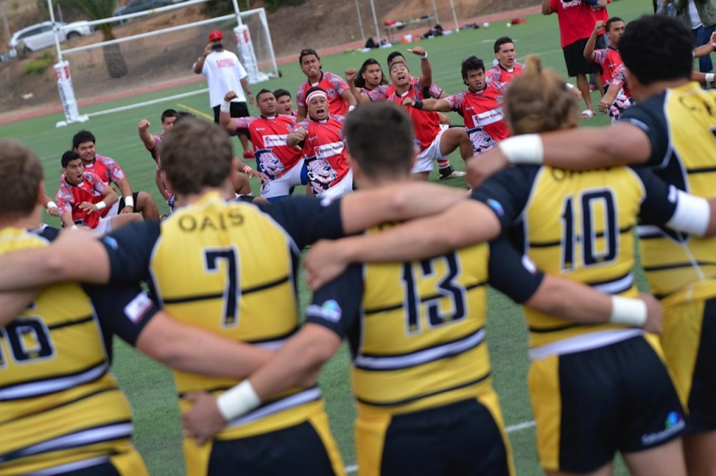 kahukuvdanville denise cavanagh 2 kahukuvdanville denise cavanagh 2