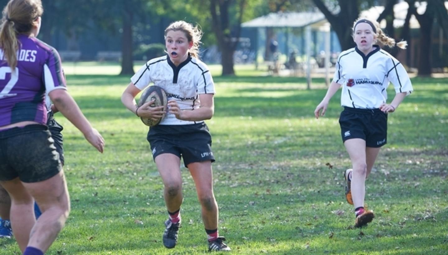 landparkharlequins2017 1 landparkharlequins2017 1