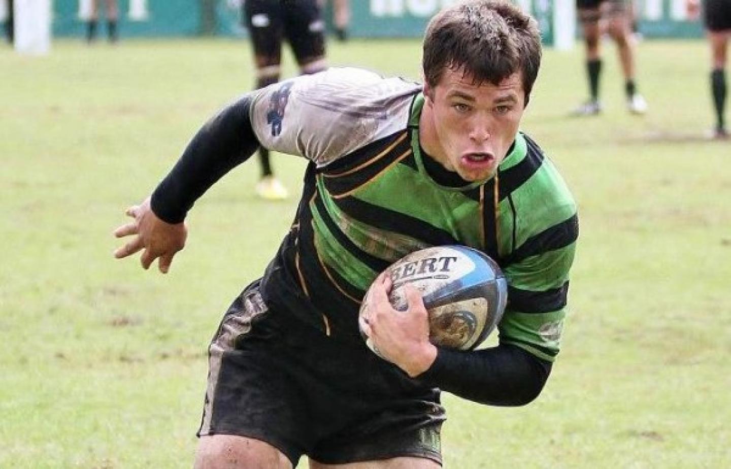 lifevlindenwoodspring2014 hawk 1 1 lifevlindenwoodspring2014 hawk 1 1