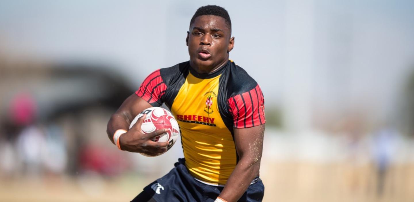 lvi 2016 maryland noble barpal 252 lvi 2016 maryland noble barpal 252