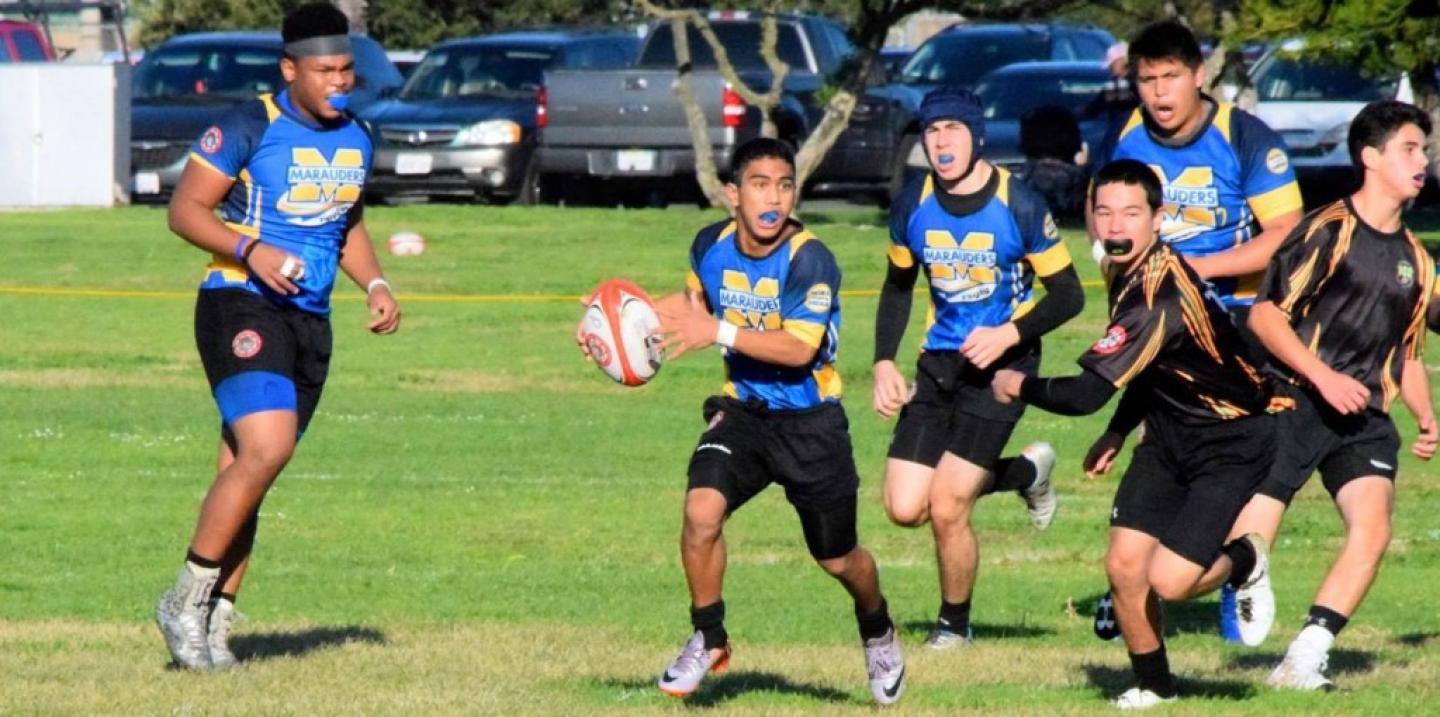 miramesa2017 3 miramesa2017 3