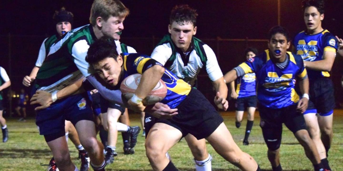 miramesavcoronado dec 2016 miramesavcoronado dec 2016