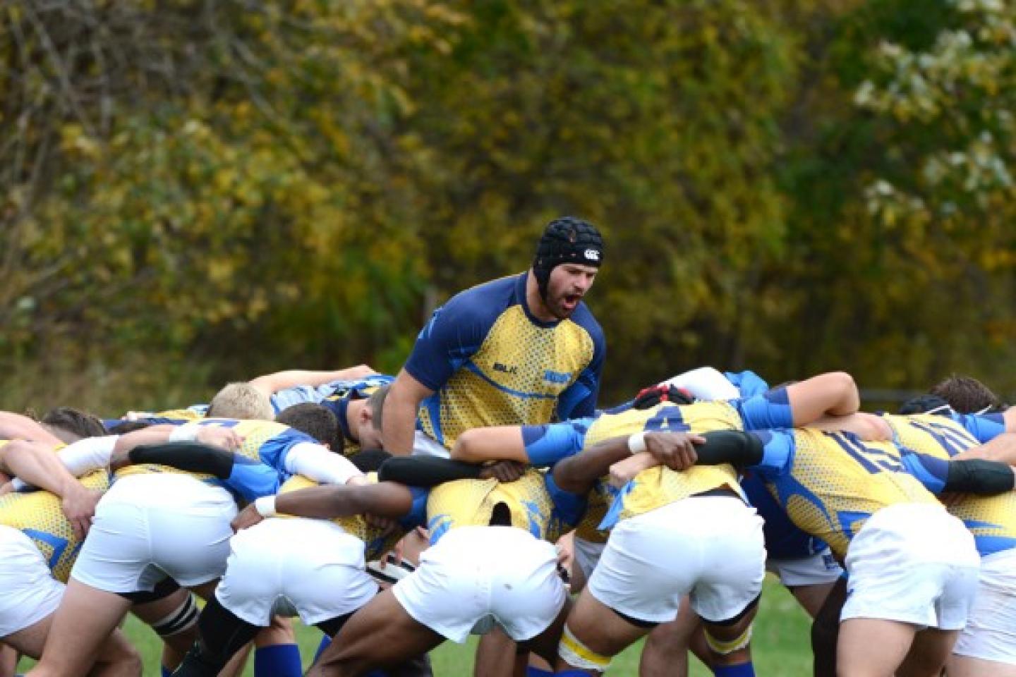 notredamecollegefalconshuddle 0 notredamecollegefalconshuddle 0