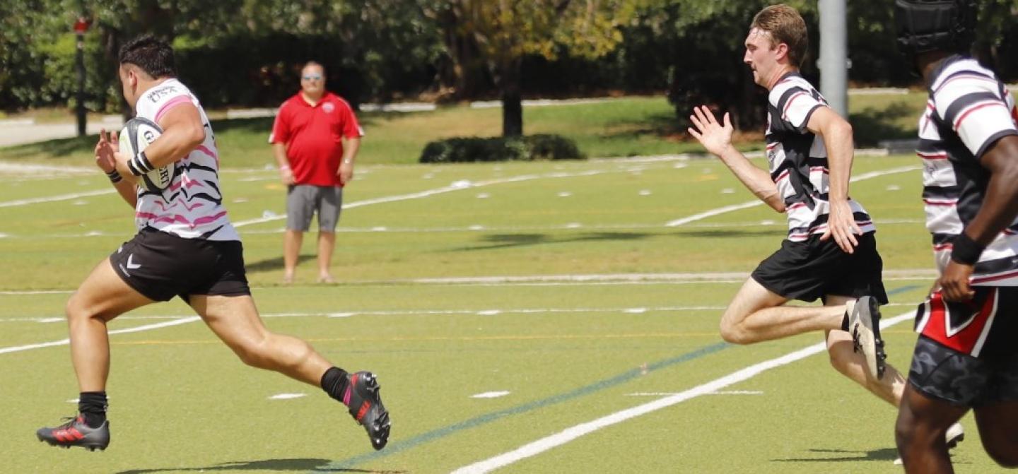 okapi 2024 tiago roveta scores 8686 original okapi 2024 tiago roveta scores 8686 original