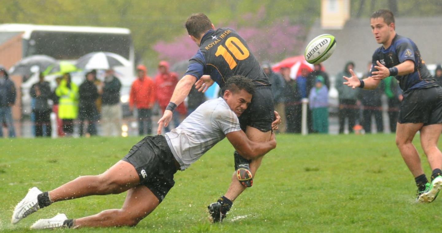 pennvroyalirish tamra tidey 1 1 pennvroyalirish tamra tidey 1 1