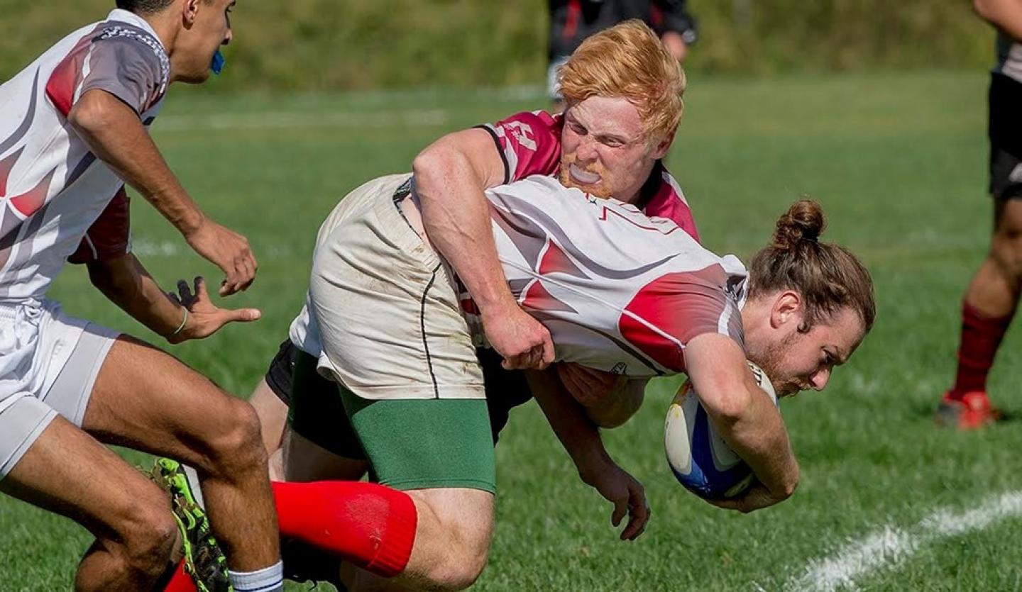 rpivvassar2015 rpivvassar2015