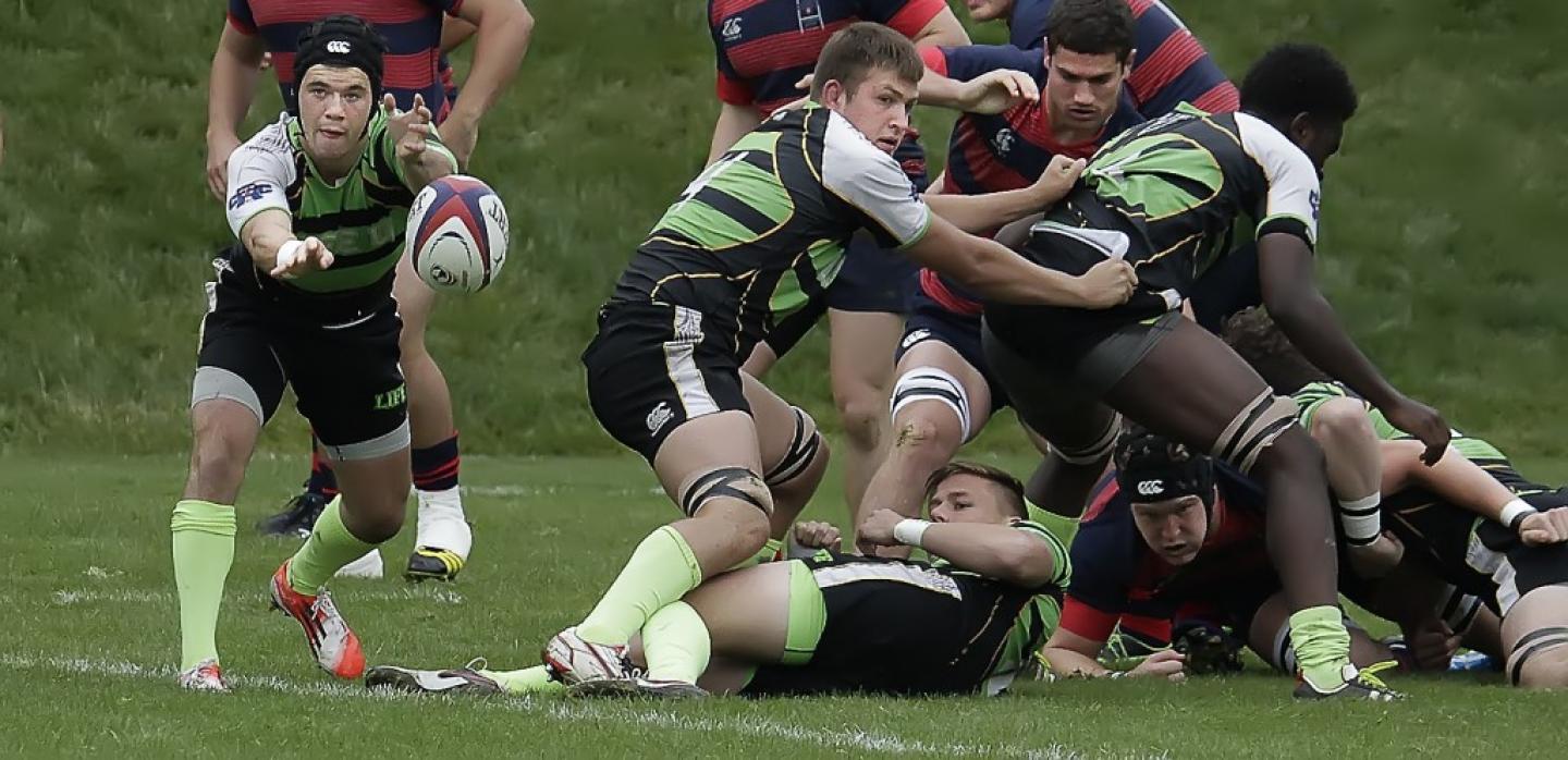 smccvlife 2016 diafinal geib 5 smccvlife 2016 diafinal geib 5