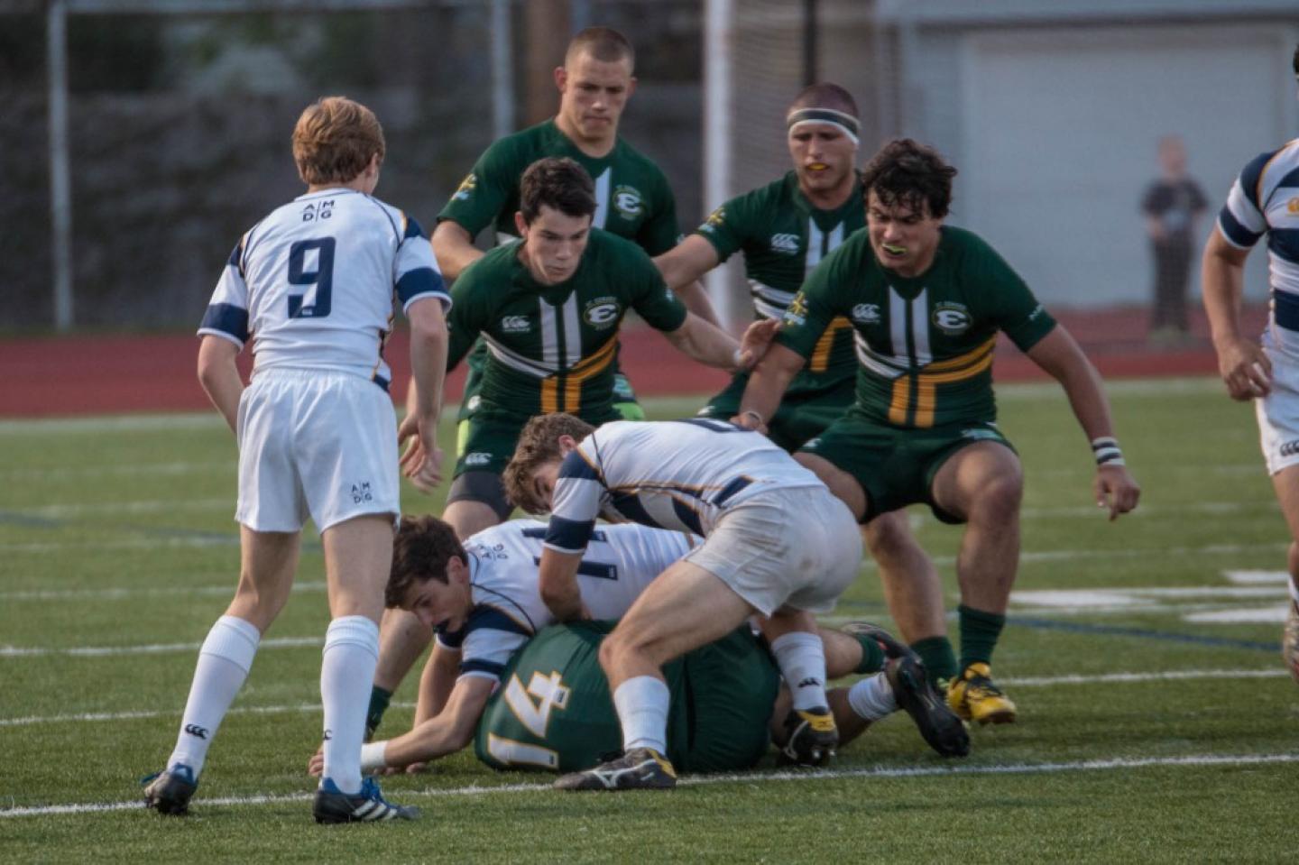 stedsvignatius may62015 allison bradfield 2 stedsvignatius may62015 allison bradfield 2