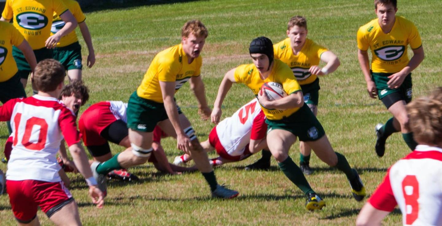 stedward ohio 2016 alison bradfield 2 stedward ohio 2016 alison bradfield 2