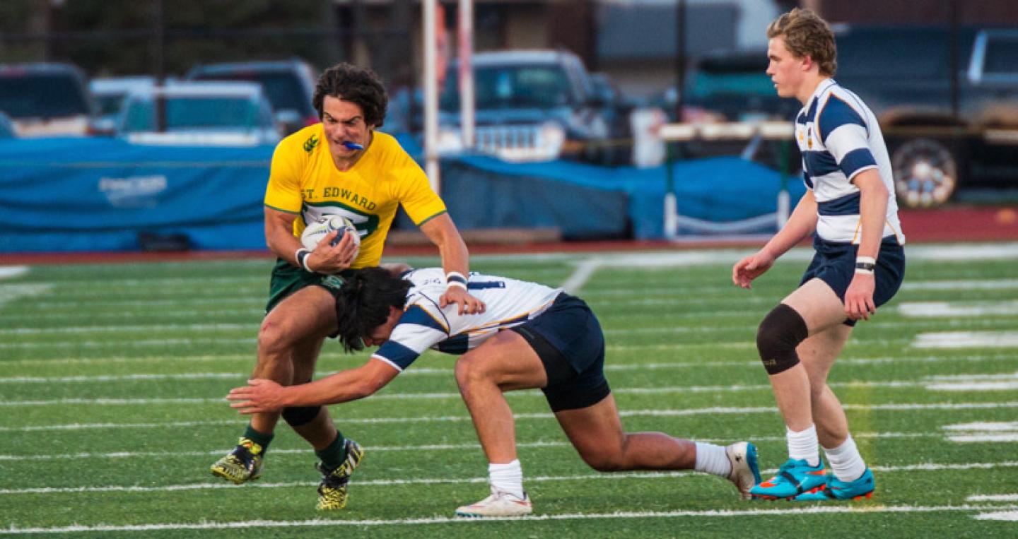 stedward zach heisterkamp allison bradfield stedward zach heisterkamp allison bradfield