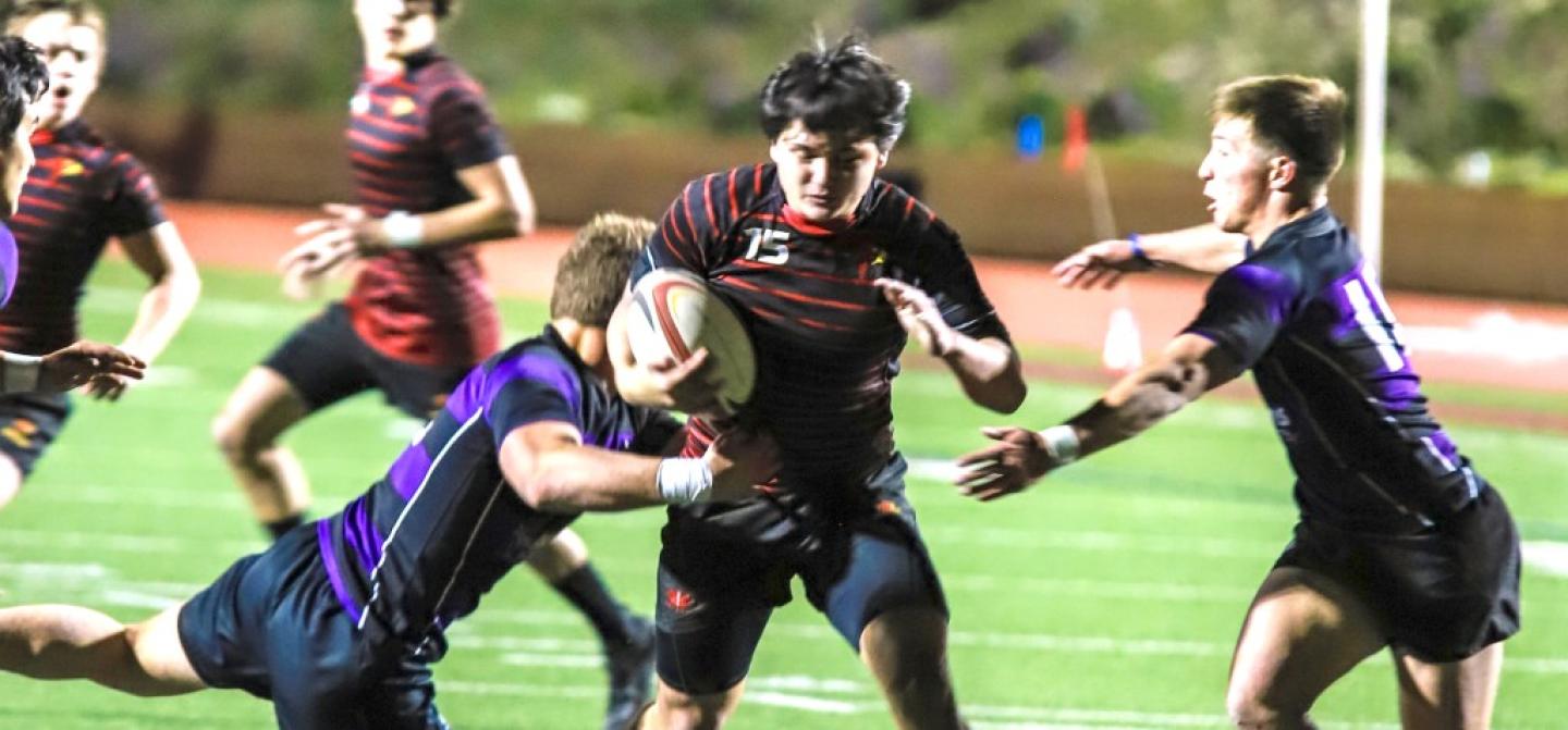 torrey pines v lb poly 2022 holland king 1 torrey pines v lb poly 2022 holland king 1