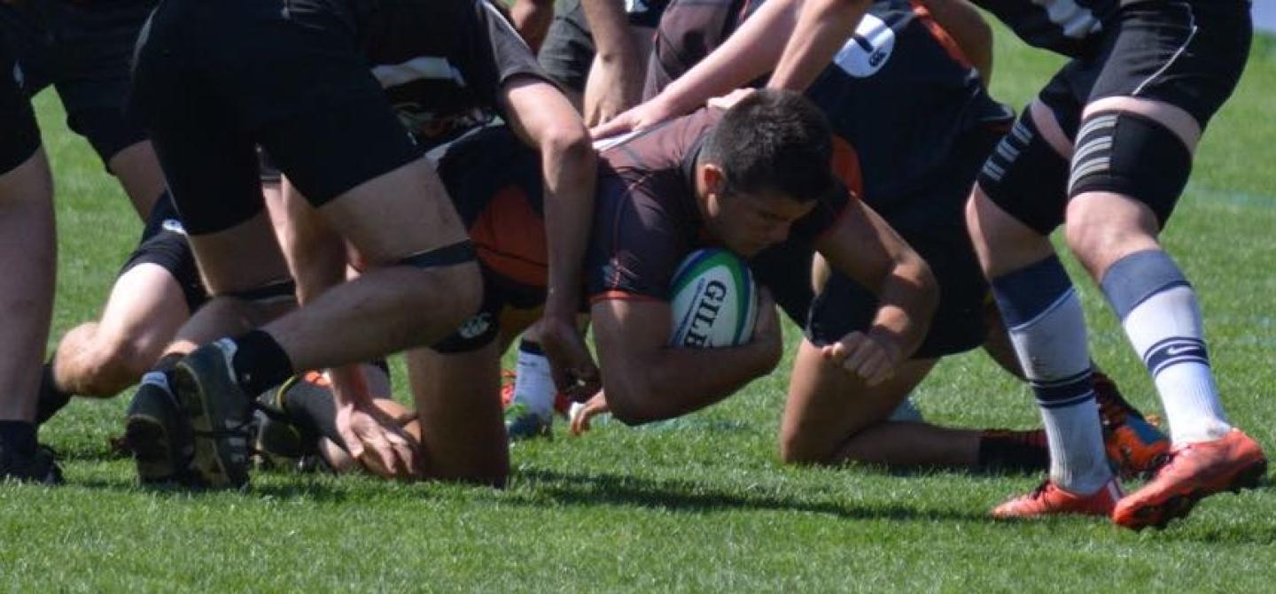 u pacific nscro rosemeyer u pacific nscro rosemeyer