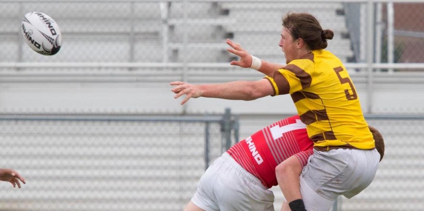 wyoming 7s hoa7s 2017 zomberg wyoming 7s hoa7s 2017 zomberg