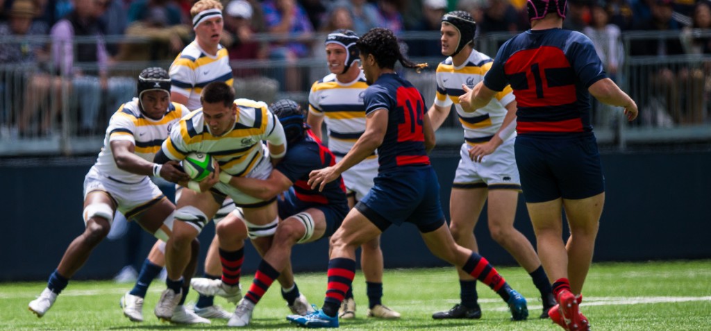 Cal nudges up. Photo David Barpal.