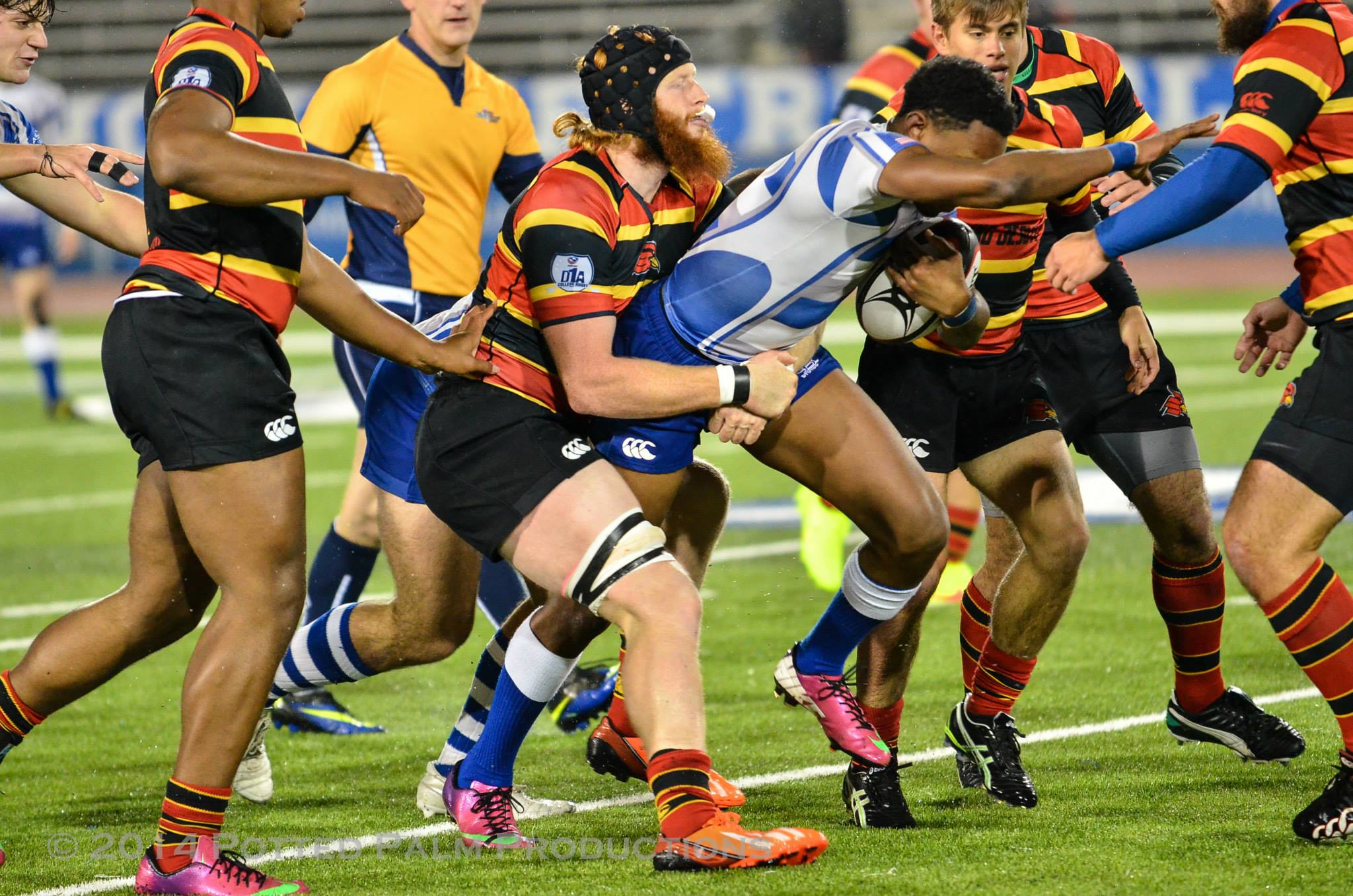 Rugby East Wrap - Kutztown Rebounds | Goff Rugby Report