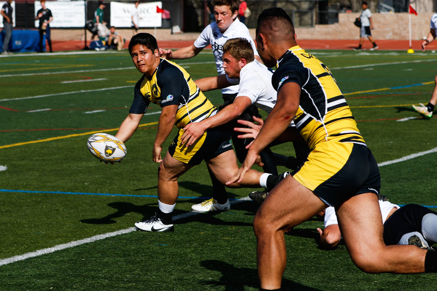 Granite Bay in white, Danville in yellow. Dan Bandoni photos.