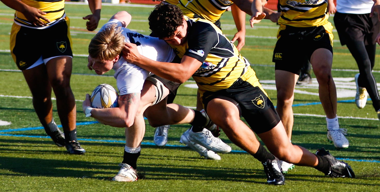 Granite Bay in white, Danville in yellow. Dan Bandoni photos.