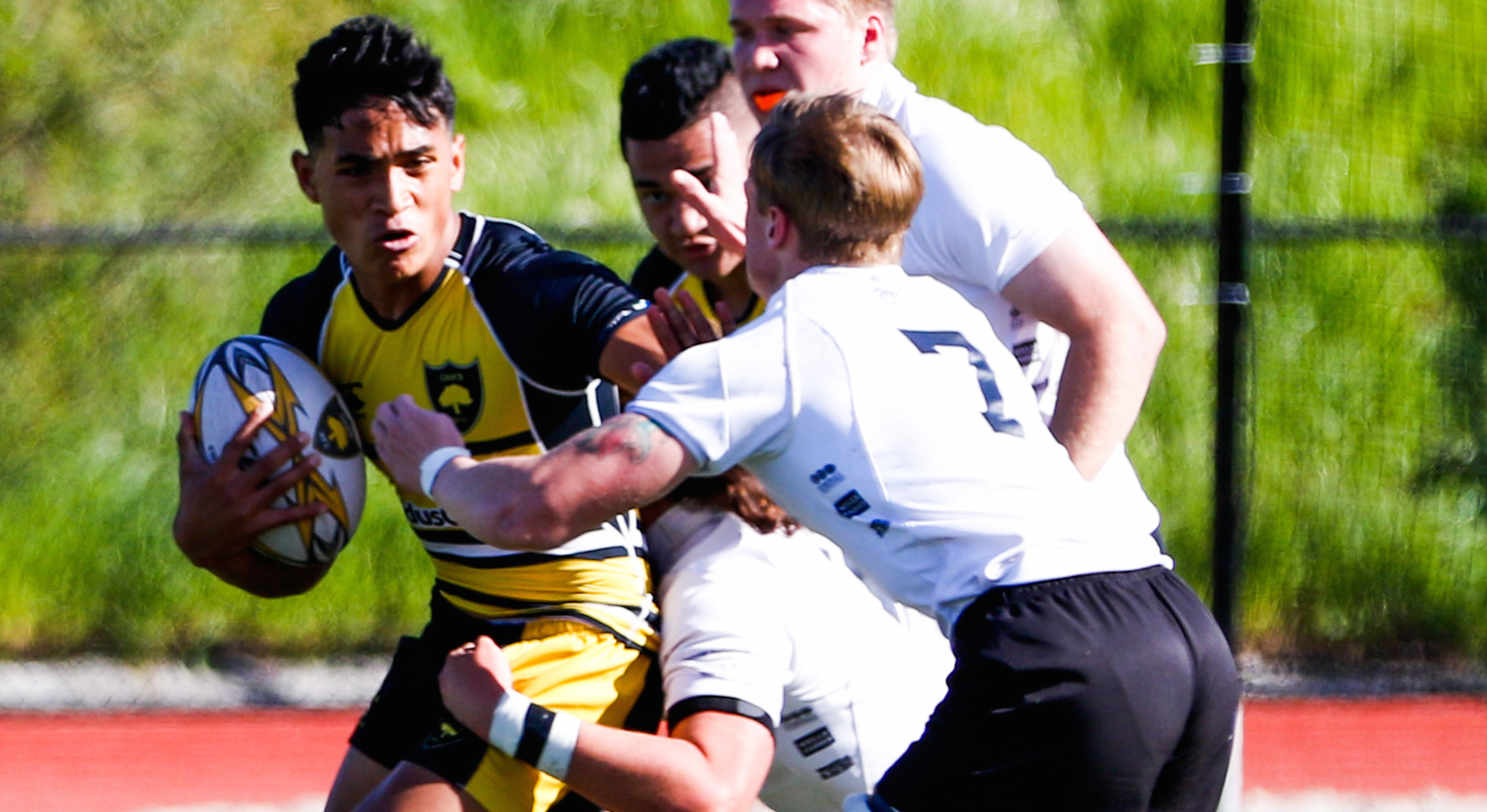 Granite Bay in white, Danville in yellow. Dan Bandoni photos.